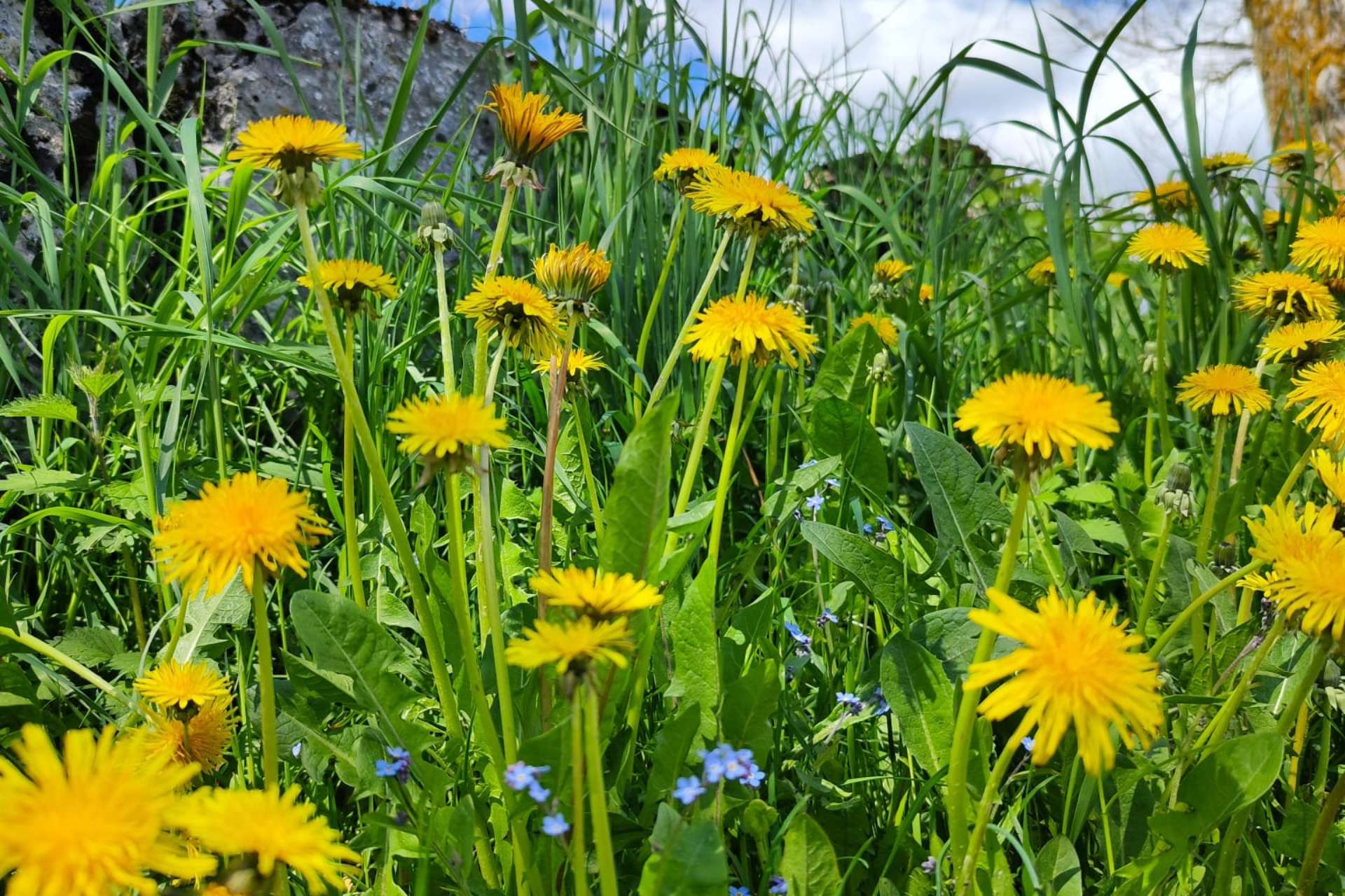 Soggiorno 3 notti tra natura, aria pura e sapori autentici