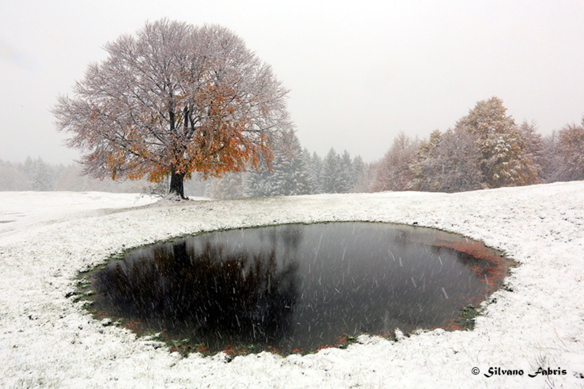 Sonderangebot 8. Dezember in Asiago
