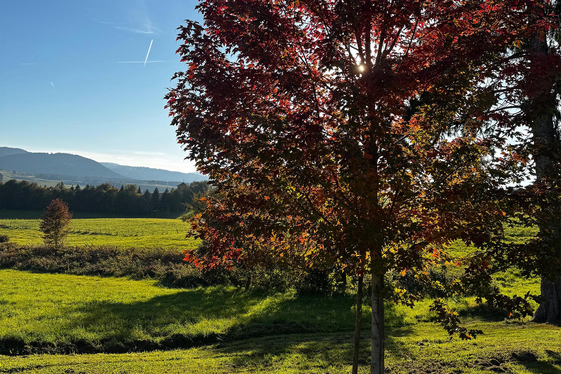 Soggiorno 3 notti tra natura, aria pura e sapori autentici